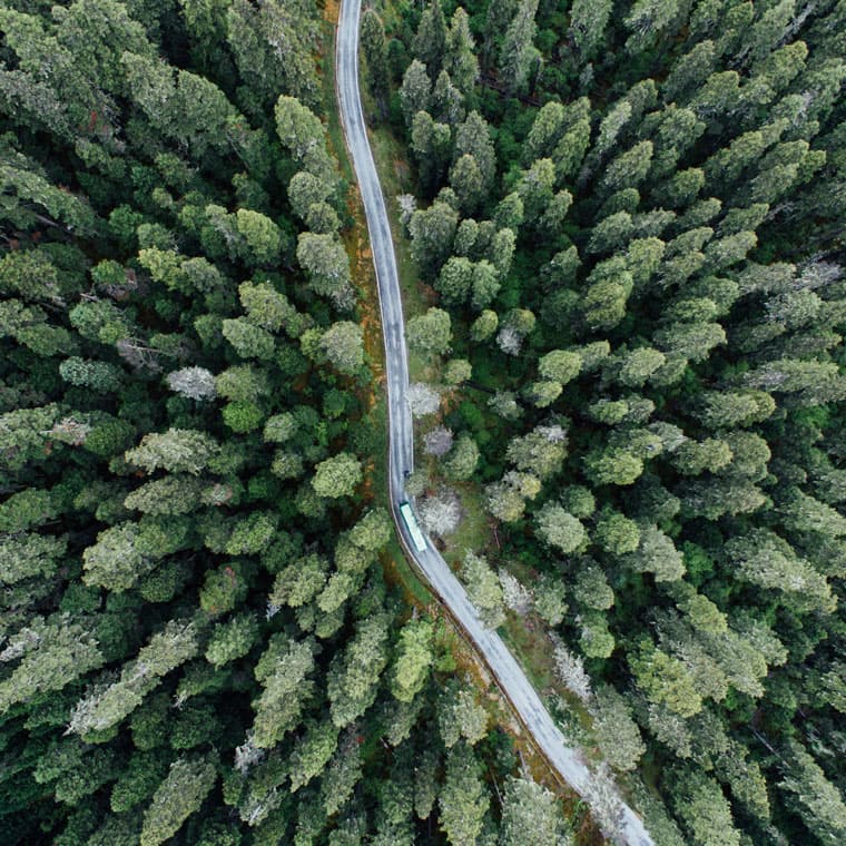 Helikoptervy över en väg som går genom en tät barrskog.