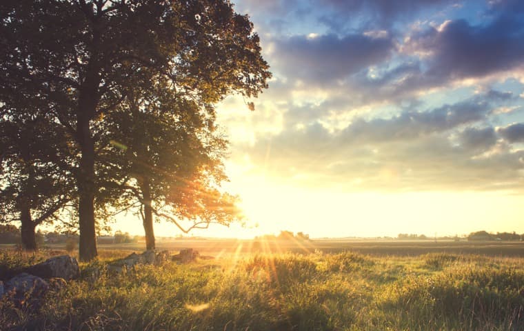 soluppgång över ett fält