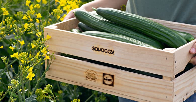 Händer som håller en trälåda fylld med gurkor.